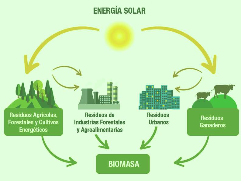 Imagenes de la biomasa 6